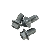 TSH Custom Bolt